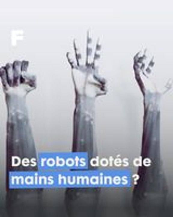 Clone Robotics : L'émergence des Robots Ultra-Réalistes, une Révolution en Mouvement !