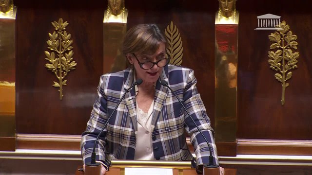 Pascale Borde (RN) juge inappropriée et inutile l'inscription de l'IVG dans la Constitution