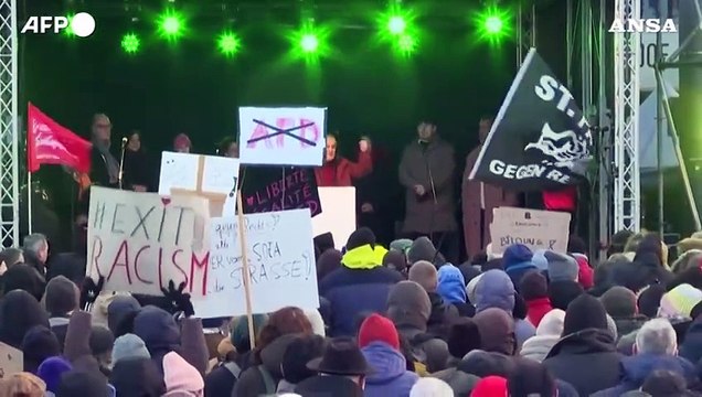 Marea umana in Germania contro l'ultradestra di Afd