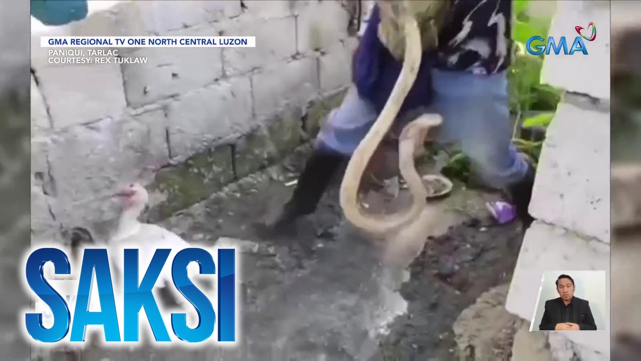 Lalaking lumabas ng bahay para umihi, patay sa tuklaw ng ahas | Saksi