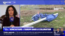 Mobilisation des agriculteurs: Manon Aubry (député européenne LFI) pointe 