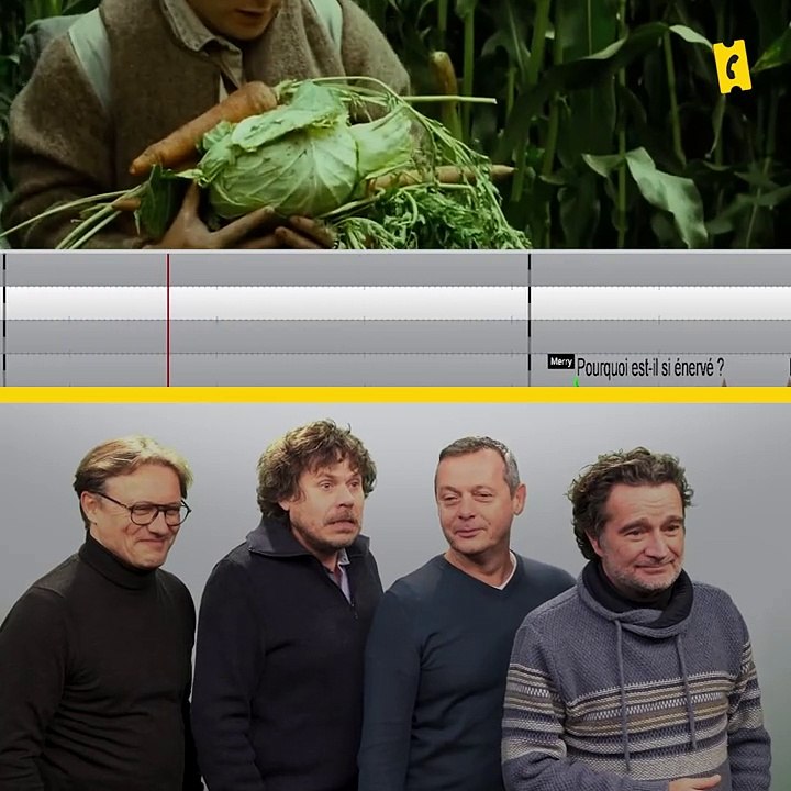 Voix Ouf - Le Seigneur des Anneaux - Rencontre avec les voix VF de Frodon, Sam, Merry et Pippin