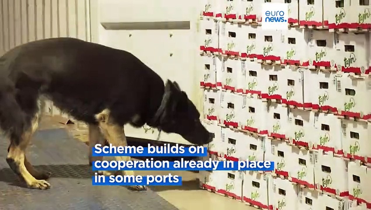 EU launches alliance to tackle drug trafficking through European ports