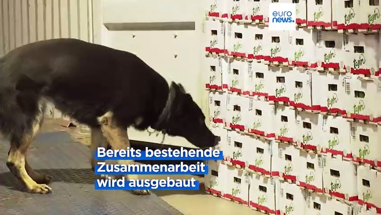 EU-Allianz gegen Drogenhandel: Europas Häfen sollen Festungen werden