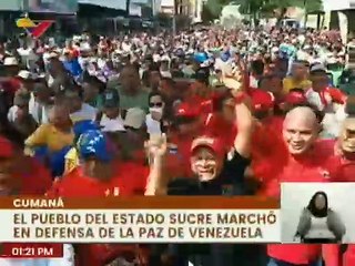 Integrantes del movimiento Mi Gallo Pinto del edo. Sucre marchó en defensa de la paz
