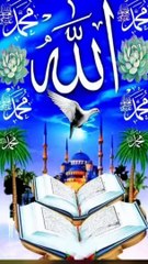 MashAllha ❤️ SubhanAllah  Islamic video