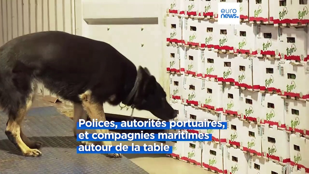 Une « Alliance des ports » européens pour lutter contre le trafic de drogue