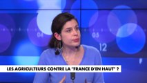 Charlotte d'Ornellas : «Les agriculteurs sont les Français d'un seul drapeau, celui de la France, qu'on retrouvait sur les ronds-points des gilets jaunes également»