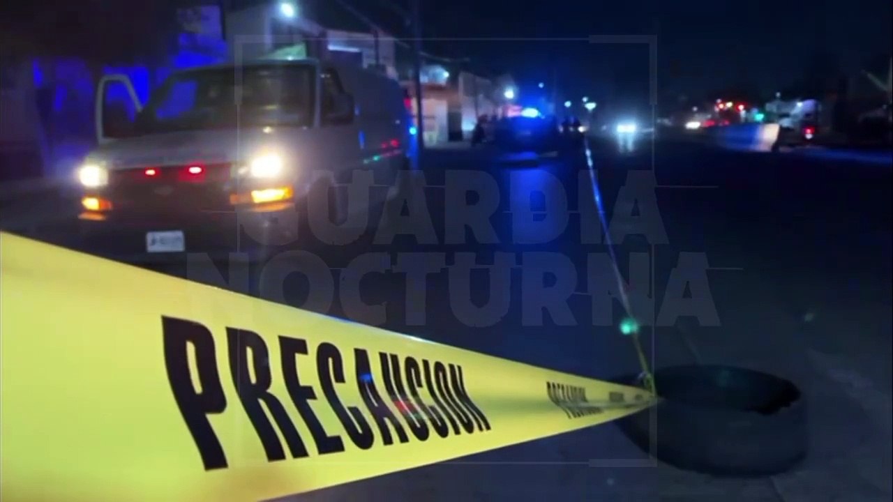Sigue la ola de muertes por atropellamiento
