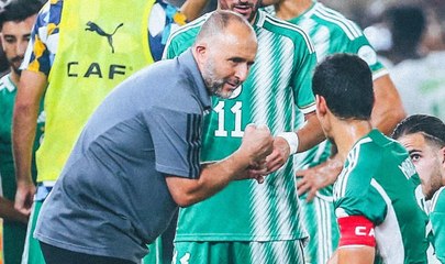 Un supporter sidéré par l'élimination de l'Algérie de la CAN refuse de travailler, Belmadi démissionne