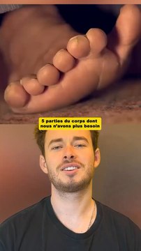 5 parties du corps humain dont nous n’avons plus besoin