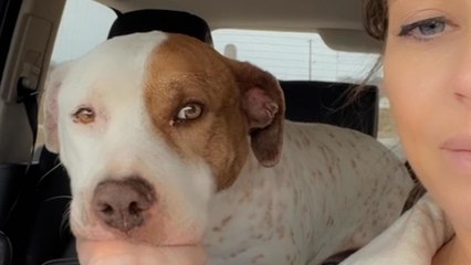 Skinny Pittie Is The Most Handsome Chunk A Year Later