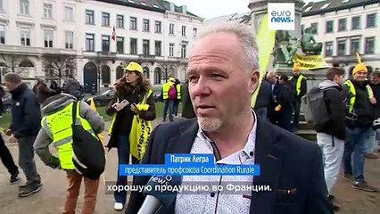 Волна протестов фермеров докатилась до Брюсселя, недовольство "зелёной" политикой ЕС растёт