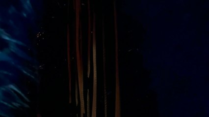 Murmeln. Monti. Und ich?