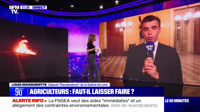 Préfecture d'Agen visée par des agriculteurs: Nous sommes respectueux de la colère , affirme Louis Margueritte (Renaissance)