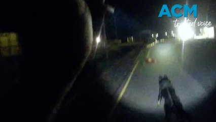 Police dog Tux tracks Rockhampton break-and-enter