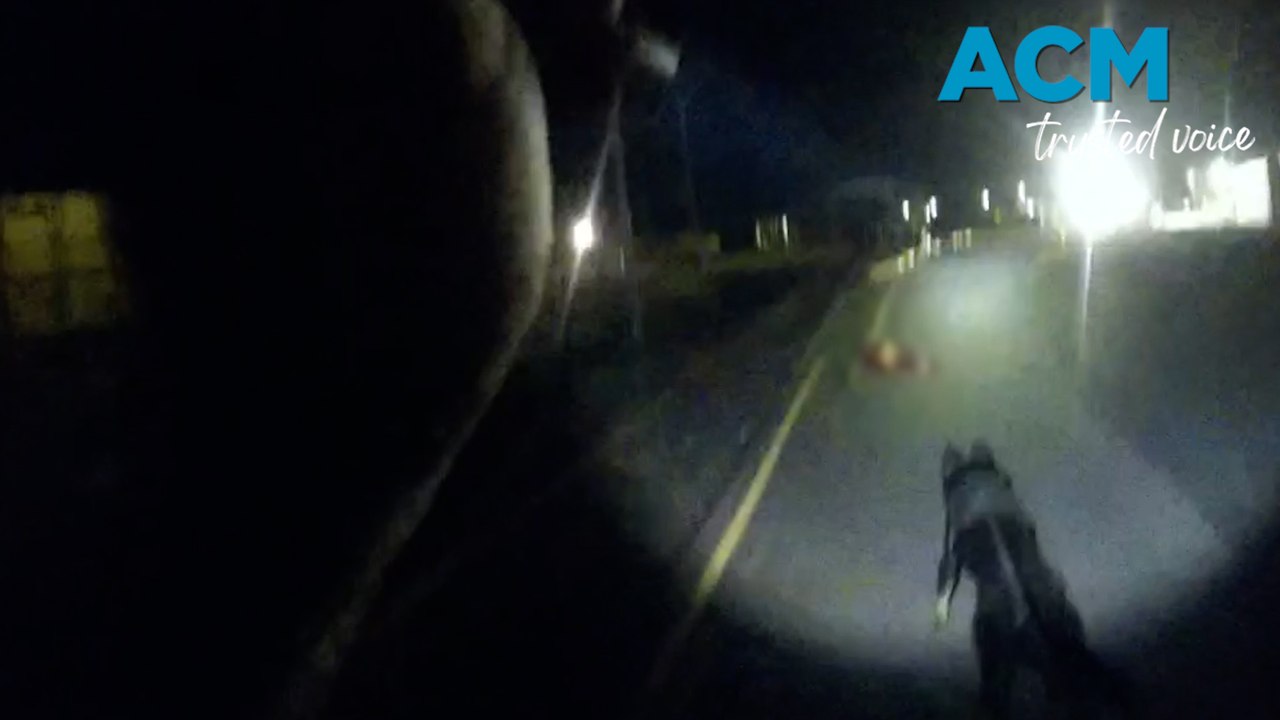 Police dog Tux tracks Rockhampton break-and-enter
