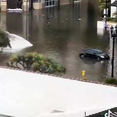 C'est un sous-marin ou une voiture Elonmusk ?  Tesla Model 3 vue en douceur dans les eaux de crue à San Diego