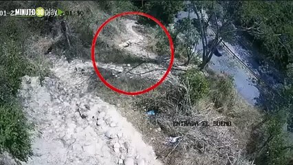 ¿Hombre habría quemado 'todo' el valle de frailejones en Santander?