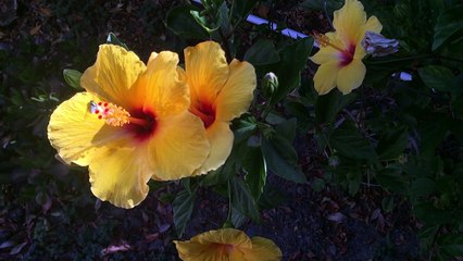 Remembering (1 minute short film)