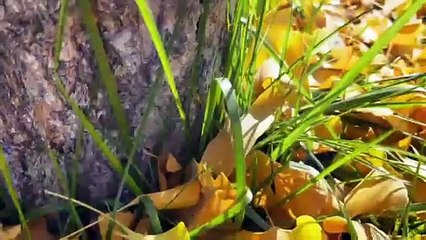 Stay away from the hustle and bustle of the city and enjoy the beautiful scenery