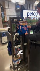 Les américains et les chiens