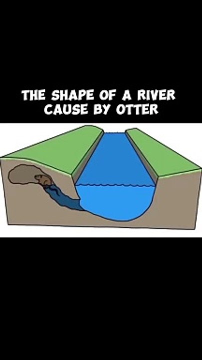 the shape of river cause by otter