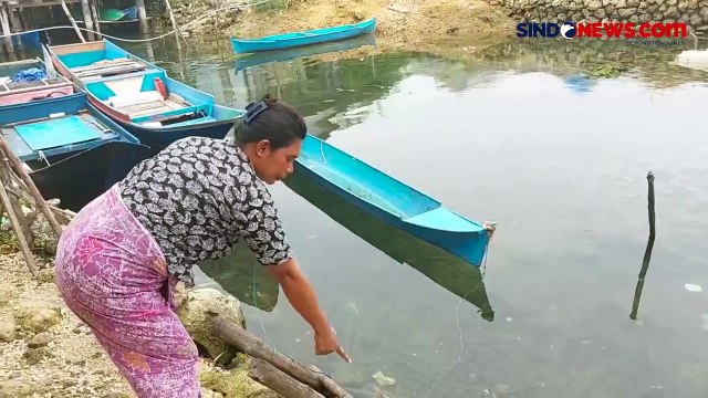 Kemunculan Buaya 3 Meter di Permukiman Hebohkan Warga Buton, Sulawesi Tenggara