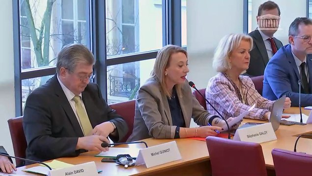 Commission des affaires étrangères : Communication sur le déplacement effectué par une délégation de la commission à New York ; Situation en République démocratique du Congo - Mercredi 24 janvier 2024