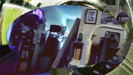 Cleaning cat box and at the hospital 5 16 23 l Cyberlink.compressed