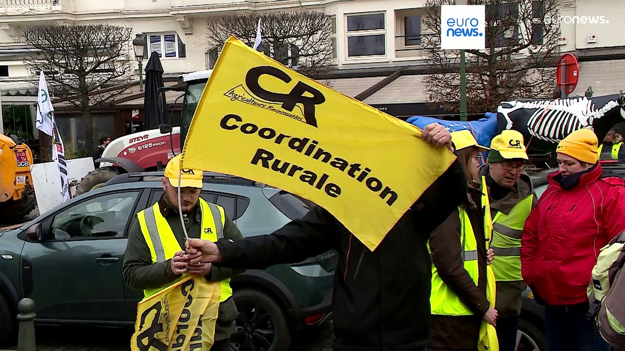 Nachrichten des Tages | 25. Januar - Morgenausgabe