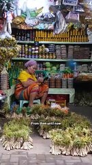 The 5 Discover the 5 Types of People You'll Encounter in Quiapo, Manila 🏙️