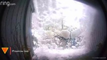 Close Call Massive Roof Avalanche Caught on Ring Camera | Doorbell Camera Video