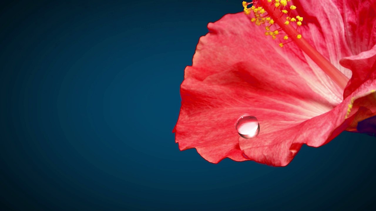 Hyaluronic Acid Body Butter With Shea Butter & Cocoa Butter