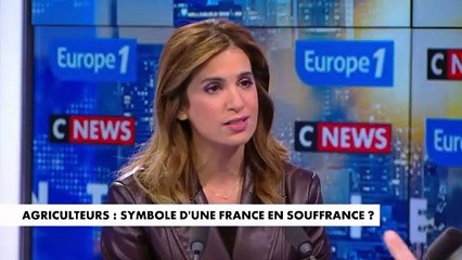 Blocage des agriculteurs : «Il y a toute une partie de cette France qui est ignorée», assure Robert Ménard