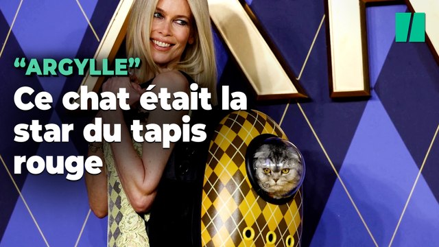 La vraie star de l’avant première du nouveau film d’Henry Cavill était un chat