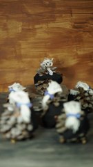 Le Serment du Jeu de Paume - Professeur Pin