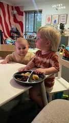 Adorable Baby's Hilarious Attempt to Nab Toddler's Treat! | Heartsome