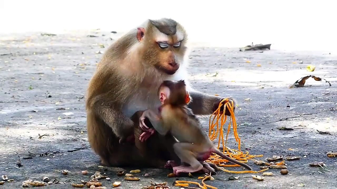 Poor Mother Rozy Eating Foods Very Fast Due To Afraid Of Someone Taking (720p_25fps_H264-192kbit_AAC)