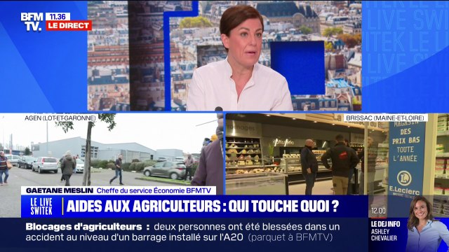 Quelles sont les aides que touchent les agriculteurs? BFMTV répond à vos questions