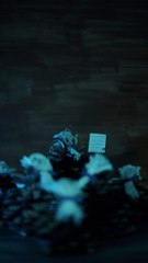 L'Abolition de Privilèges - Professeur Pin