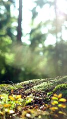 Strength Fusion Soulful Muscle Building