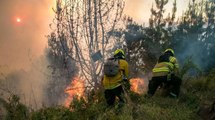 Enfermedades que se podrían desarrollar a consecuencia de voraces incendios forestales