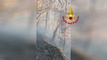 Ennesimo incendio boschivo in Valle di Susa, vigili del fuoco al lavoro