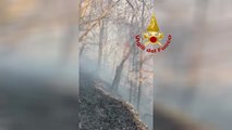 Ennesimo incendio boschivo in Valle di Susa, vigili del fuoco al lavoro