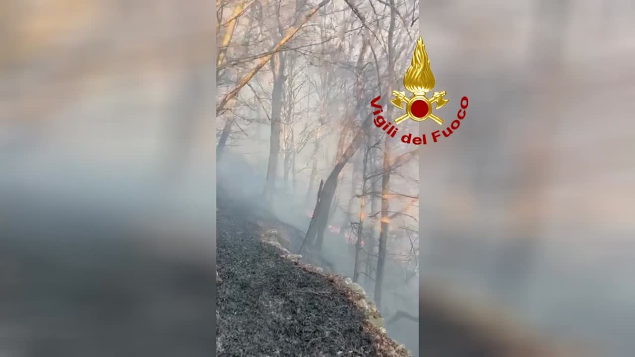 Ennesimo incendio boschivo in Valle di Susa, vigili del fuoco al lavoro