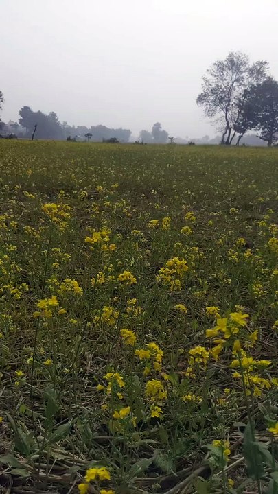 #nature