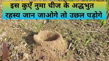 Ant pest control | ants | insects | kide | कीड़ी | चींटी | मकोड़े |