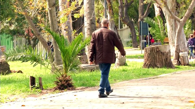 Truffe agli anziani, a Messina è allarme