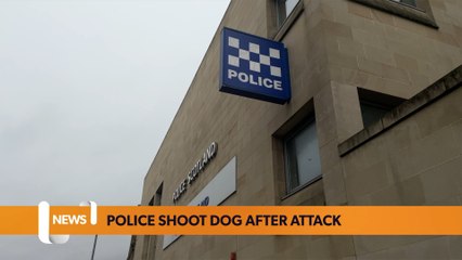 Glasgow headlines 25 January: Police shoot dog following violent attack